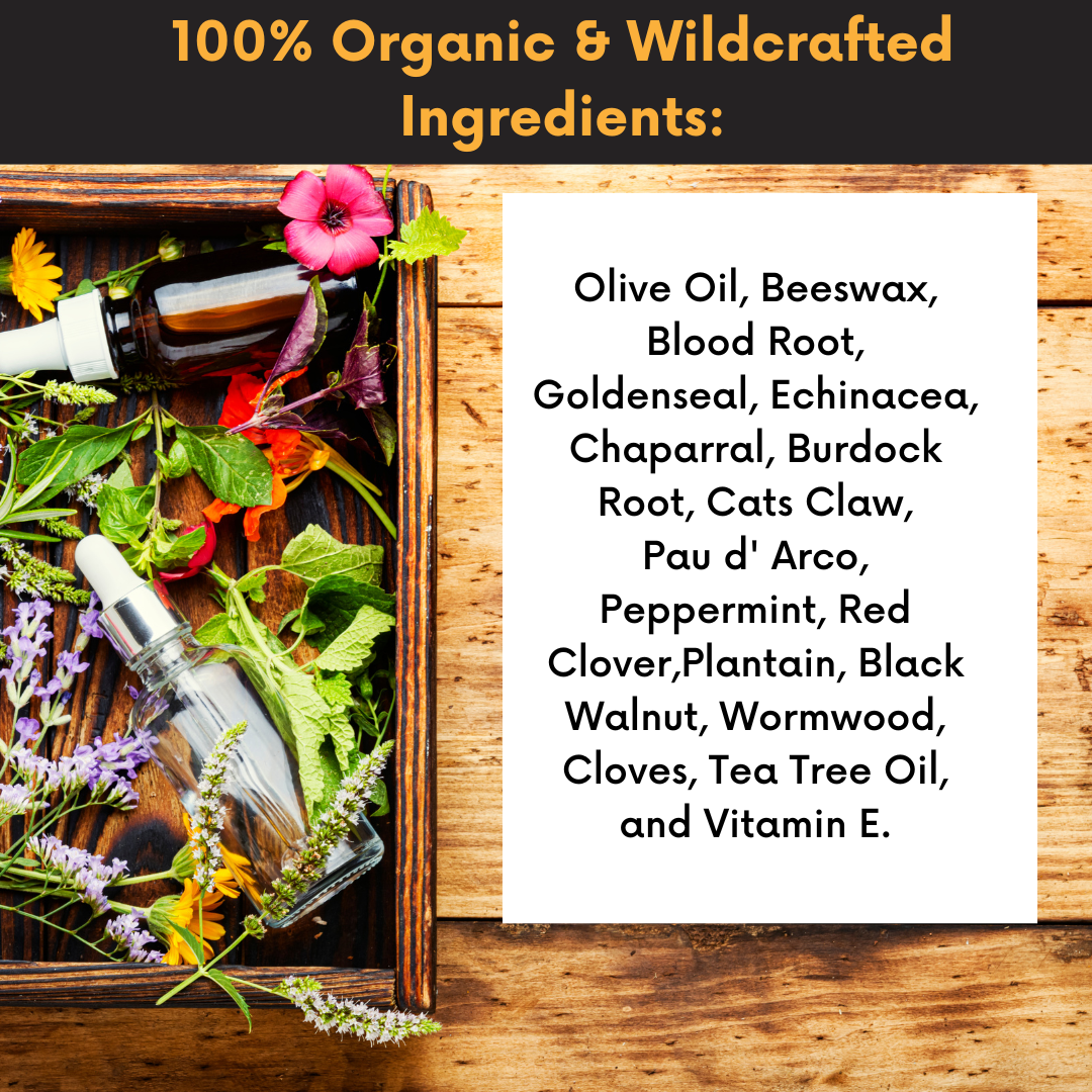 Dr. Cole's Organic Extraction Herbal Balm SixPak
