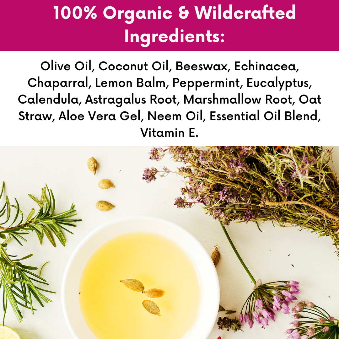 List of organic and wildcrafted ingredients of Dr. Cole's Organic Skin Repair Herbal Balm with a bowl of liquid and herbs on a white background.