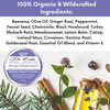 Dr. Cole's Organic Digestive Support Herbal Balm