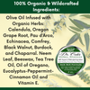 A text-heavy promotional graphic for Dr. Cole's Herbal Remedies Jock Itch Formula, detailing a 100% organic and wildcrafted ingredients list on a pale yellow background with green botanical illustrations.