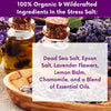 Dr. Cole's Stress Relief Balm and Salts Bundle