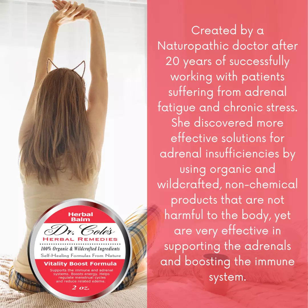 Dr. Cole’s Vitality Herbal Balm SixPak